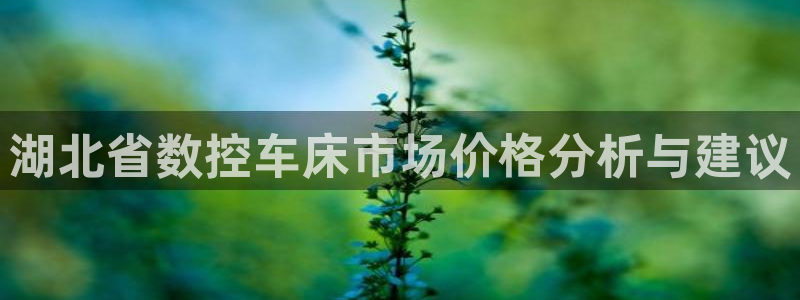 天辰娱乐 qq