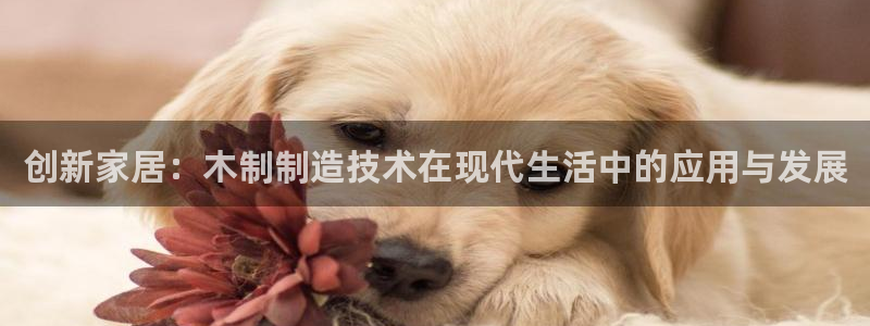 天辰娱乐2