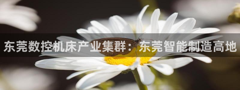 天辰天富娱乐