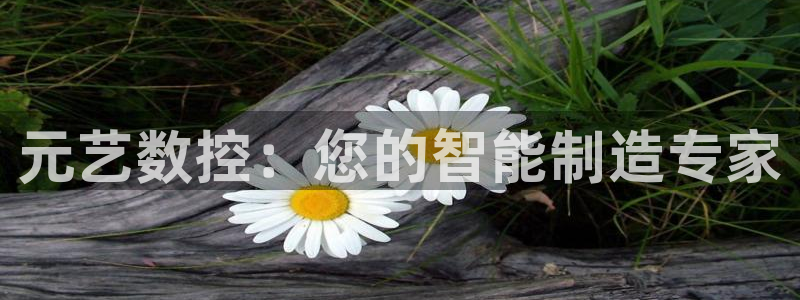 天辰(娱乐注册