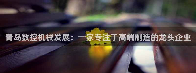 天辰娱乐675138