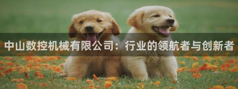 天辰娱乐地址