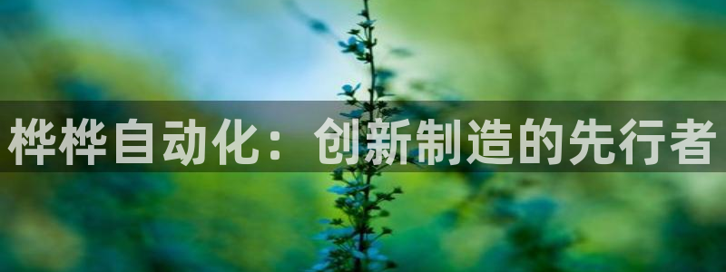 天辰注册娱乐