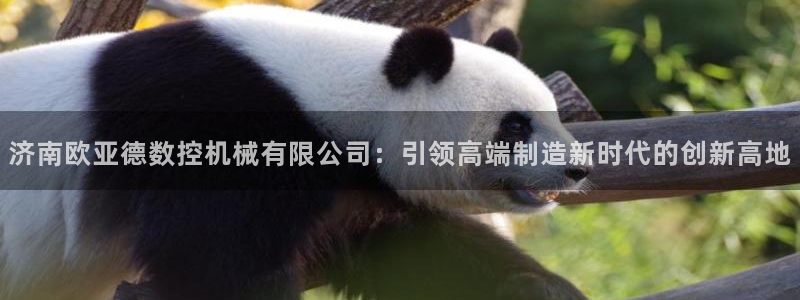 天辰娱乐官网平台下载