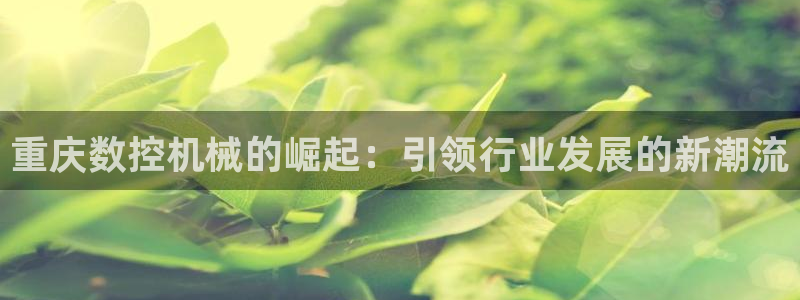 天辰辰娱乐代理：重庆数控机械的崛起：引领行业发展的新潮流