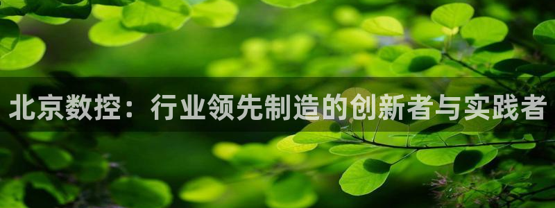 天辰娱乐白屏