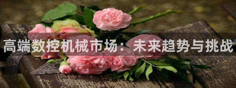 天辰娱乐地址