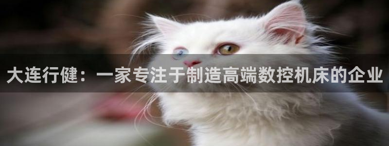 天辰(娱乐注册：大连行健：一家专注于制造高端数控机床的企业