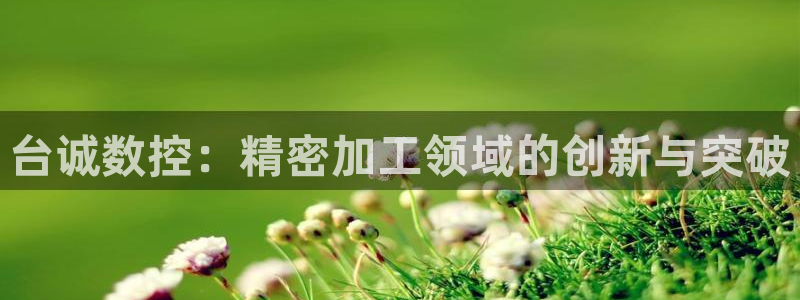 天辰娱乐1996