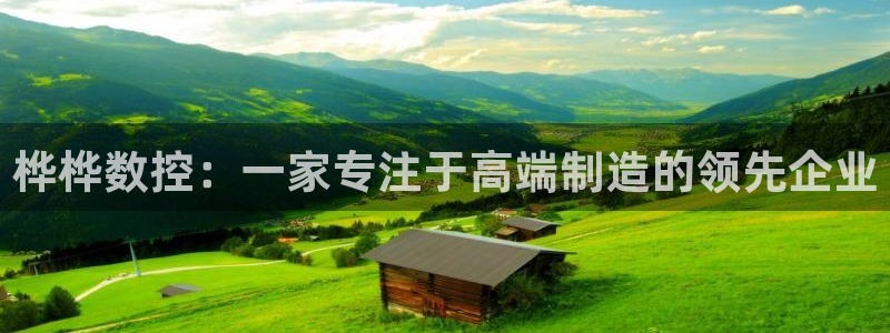 天辰娱乐招商