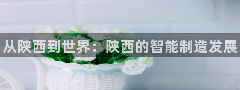天辰娱乐元宝