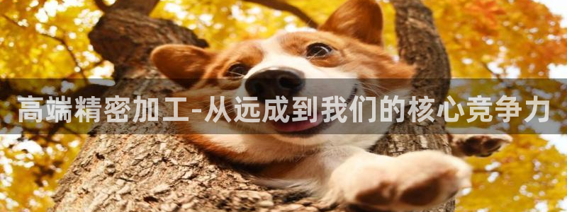 大庆天辰娱乐