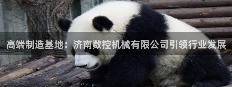 天辰娱乐游戏：高端制造基地：济南数控机械有限公司引领行业发展