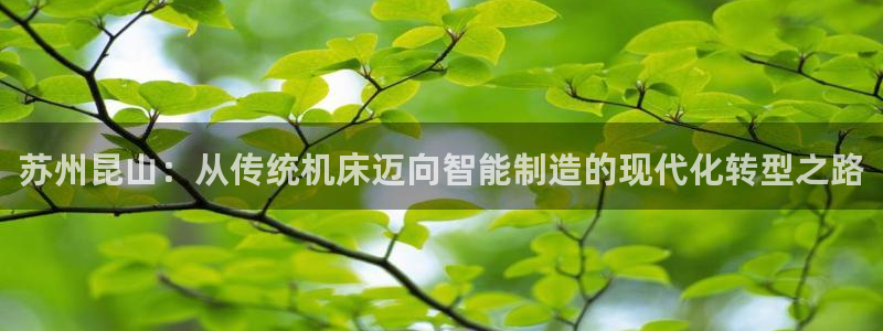 辰天娱乐用品