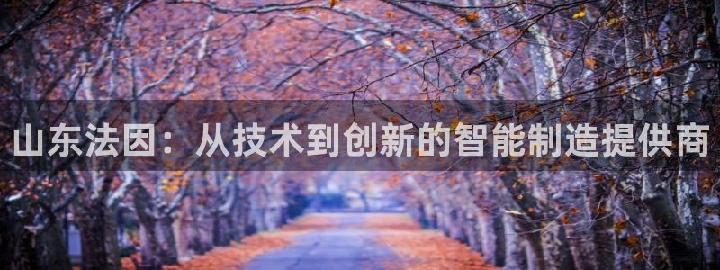 天辰娱乐简介