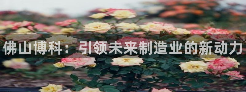 北京天辰娱乐