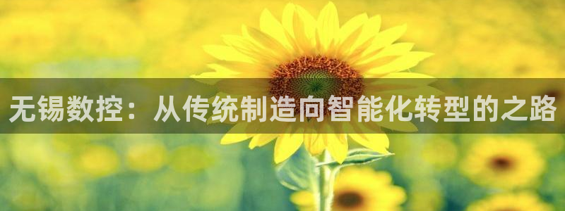 天辰娱乐线路