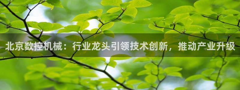 天辰娱乐分红