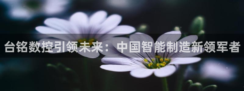 天辰娱乐直属