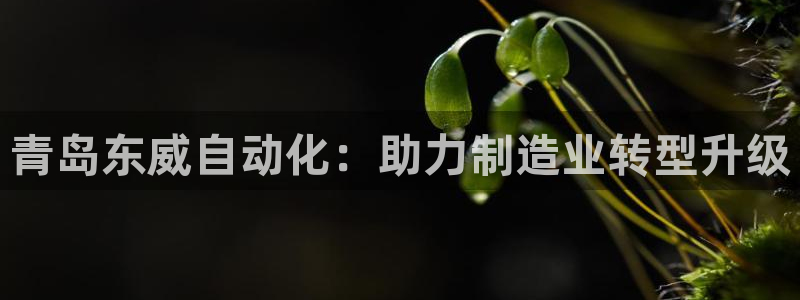 天辰娱乐tff