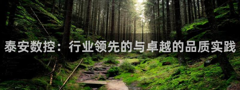 天辰娱乐指尖所