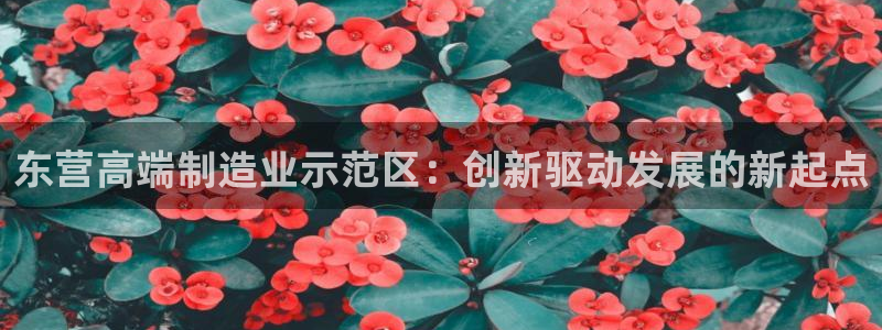天辰(娱乐注册