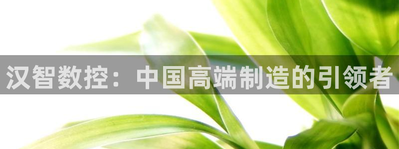 天辰娱乐61116