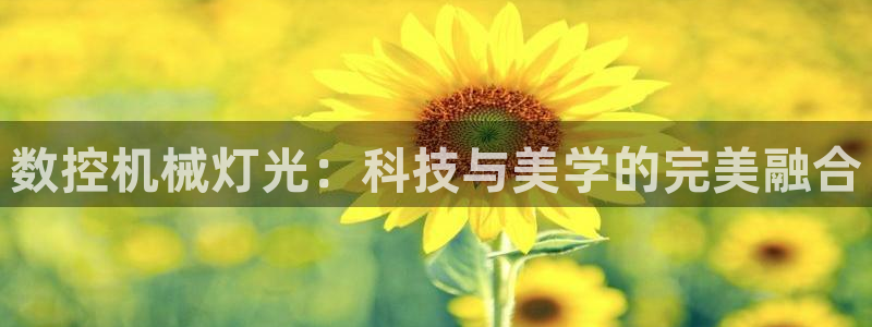 天辰娱乐公司