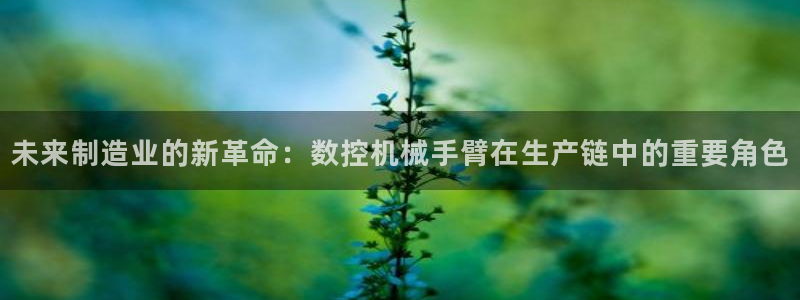 天辰娱乐鱼刺