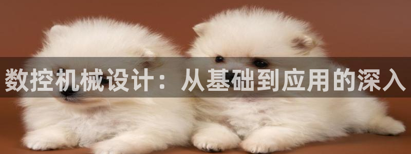 天辰娱乐 主管