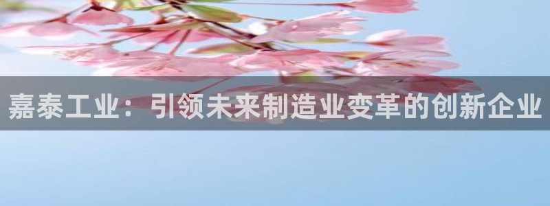 天辰娱乐登陆平台