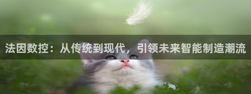 天辰娱乐ttf