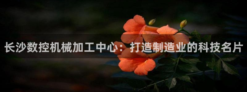 菲律宾天辰娱乐