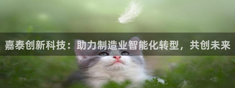 天辰娱乐彩票