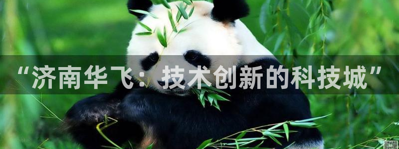 天辰娱乐51137