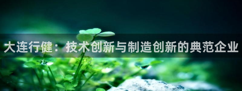 天辰娱乐小妹：大连行健：技术创新与制造创新的典范企业