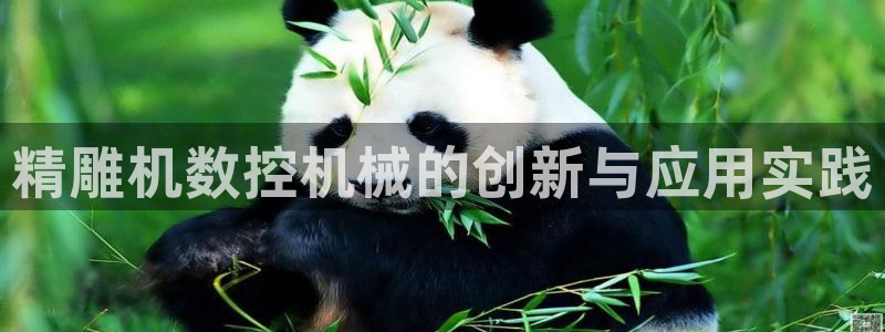 天辰娱乐平台地址在哪里