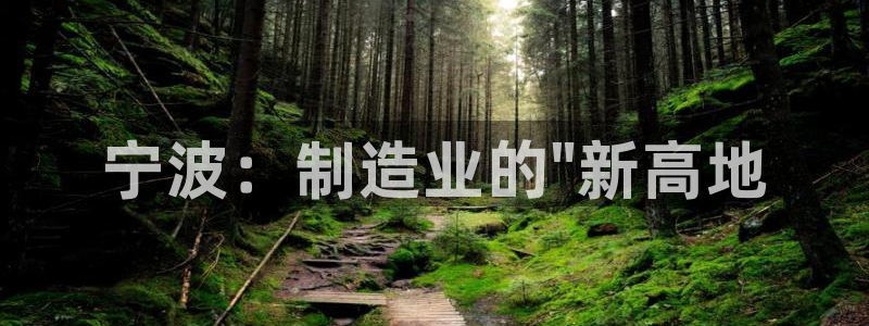 天辰娱乐卡：宁波：制造业的\