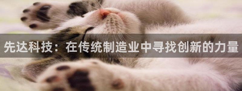 天辰娱乐官方网