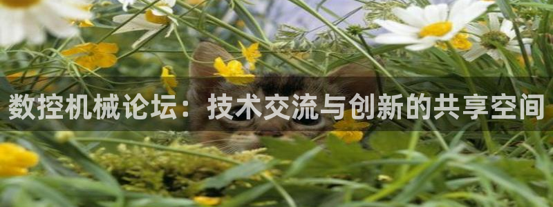天辰娱乐 . 鱼刺
