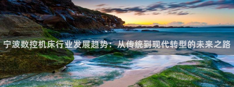 深圳天辰娱乐：宁波数控机床行业发展趋势：从传统到现代转型的未来之路