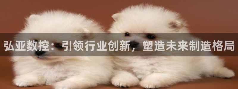 天辰娱乐总管：弘亚数控：引领行业创新，塑造未来制造格局