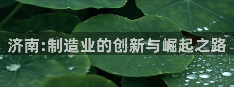 天辰娱乐 231639