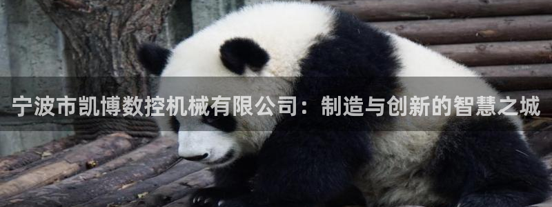 天辰娱乐总管
