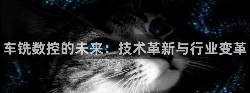 天辰娱乐957807