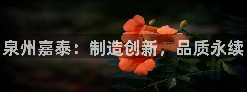 天辰娱乐675138