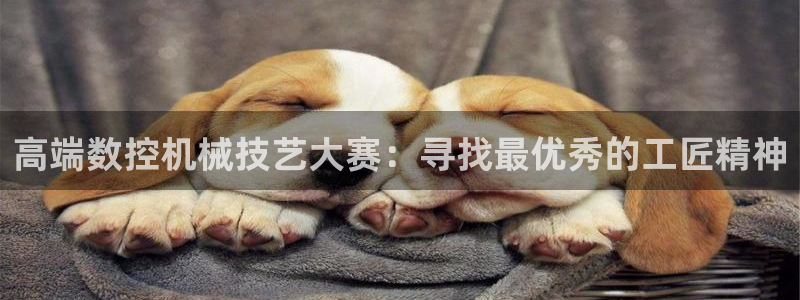 天辰娱乐酒店