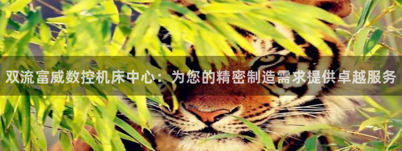 天辰娱乐44516
