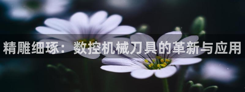 天辰臣娱乐