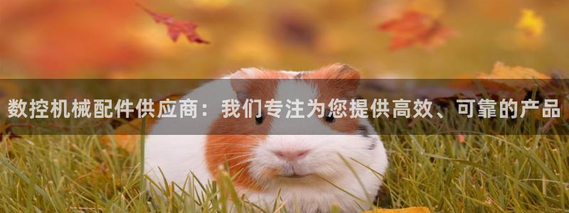 天辰娱乐 18113